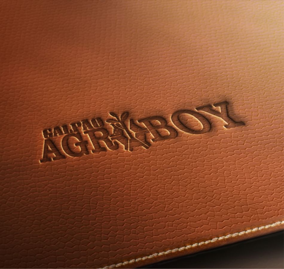 Criação de logo para Loja Country